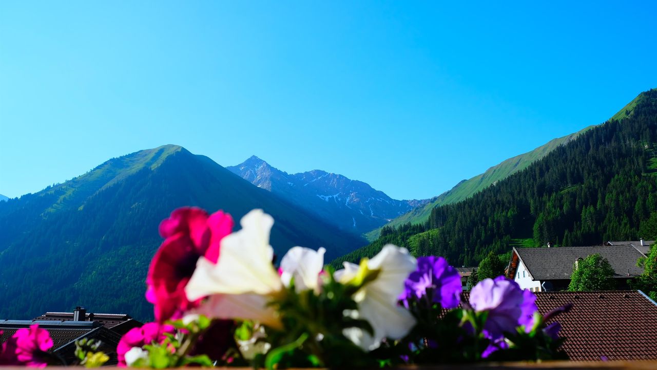 Aussicht der Sport-Alm Appartements Aussicht der Sport-Alm Appartements